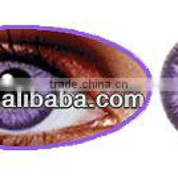 Eclipse angel eyes wholesale korean cosmetics cheap colored contact lenses