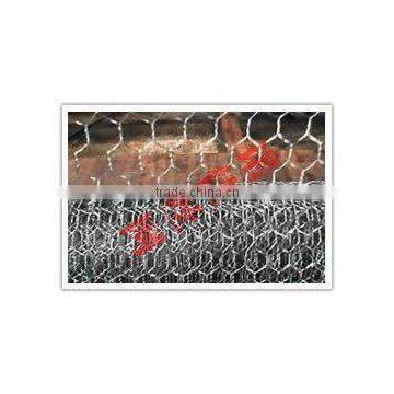 Anping Hexagonal Wire Mesh(Competitive Price)