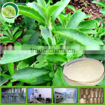 High quality Stevia extract powder