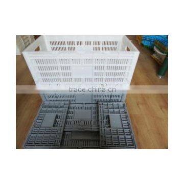Big Capacity Egg Carton Box / Plastic Egg Tray