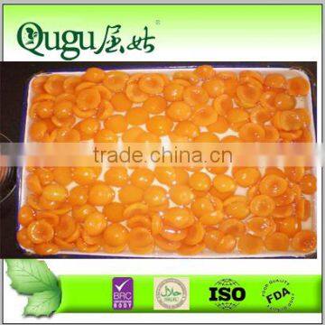 free sample hot sale fresh apricot halves canned in syrup