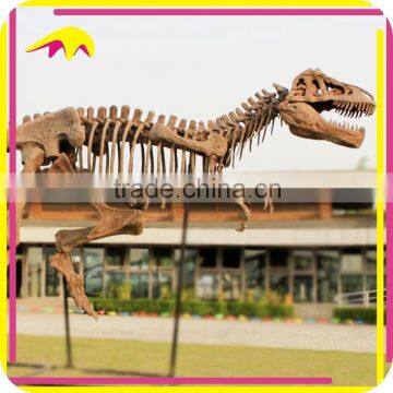 KANO0198 Jurassic Life Size Replica Dinosaur Bones For Sale