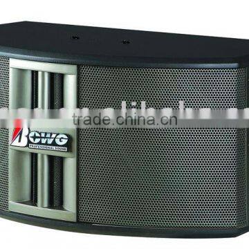 professioanl passive ktv speaker DL-828