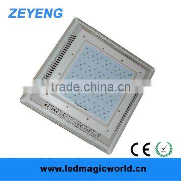 China Latest Technology LED Industrial Lamp