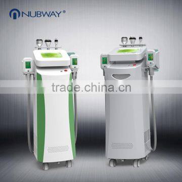 Weight Loss Cool Tech Body Shaping Cryolipolysis Fat Freeze Slimming Machine For Sale Body Contouring photo-6