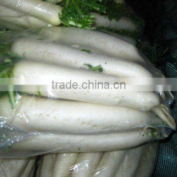 Wholesale White Radish on Sale photo-3