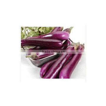 eggplant