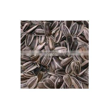 Organic sunflower seeds 5009 sunflower seeds white sunflower seeds