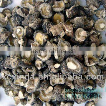 dried tea flower mushroom