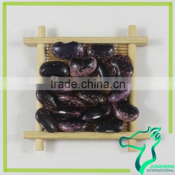 Dried Black Speckled Kidney Beans in Stock