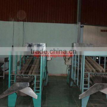 Fresh Vietnamese Cashew Kernels photo-5