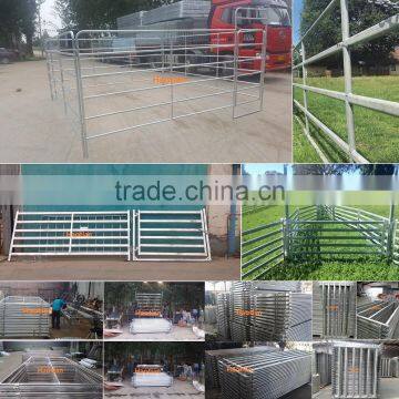 Galvanized welded pipe livestock cattle used corral fence panels for horse,durable 6 or 5 bar steel temporary metal corral fence