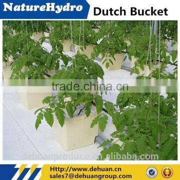 Vertical Farming Hydroponics Indoor Plant Growing Dutch Bucket