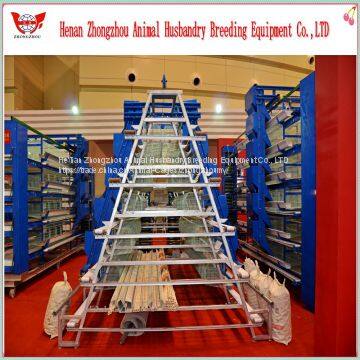 Hot Selling Good Quality Automatic Chicken Egg Layer Cage photo-5