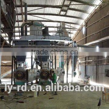 Wood Pellet Line in Malaysia photo-6