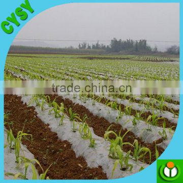 Black perforated mulch film with 3.5cm hole