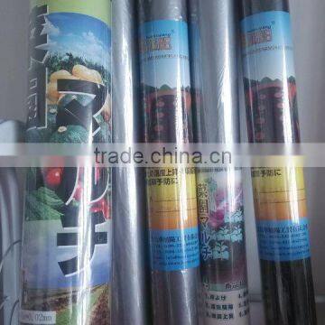 Small Roll PE Plastic Biodegradable Film on Sale photo-3