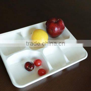 Biodegradable sugarcane food container 5-div