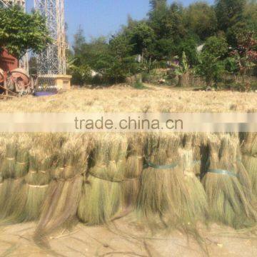 Vietnam grass broom raw material