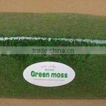 SJ1401101 Guangzhou Shengjie Wholesale Decorative Artificial Moss Product photo-6