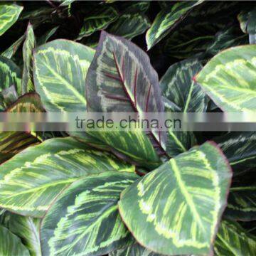 100*100*25cm Home garden decorative indoor vertical plastic Artificial Green Plant Walls ZWQ09 2110