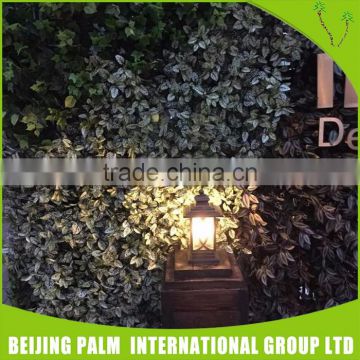 All Kinds Eucalyptus Artificial Green Wall