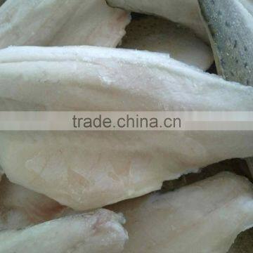 frozen japanese seabass fillet