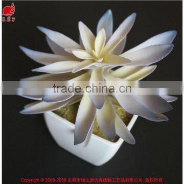 Hot sale artificial potted plants chinese succulent plants