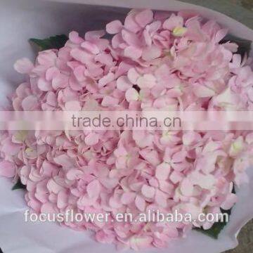 Factory Price Wholesale Real Cut Fresh Hydrangea Flower Bouquet From Yunnan photo-4