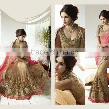 Heavy Embroidery Saree Georgette pallu+net skirt with sartin gota blouse