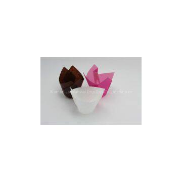 Tulip Cup photo-2