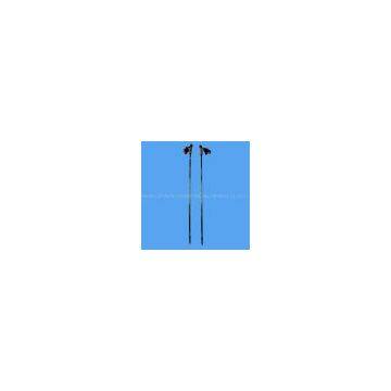 skiing pole