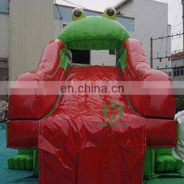 Inflatable Frog Water Slide/Used Fiberglass Water Slide for Sale photo-3