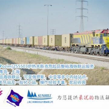 Shanghai to Pozim 255503 Izhevsk Container Freight of Dangerous Cargo Sea Rail Freight photo-2