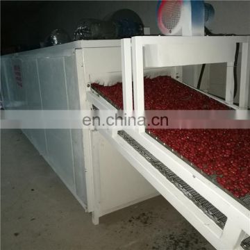 Chili pasta turmeric drying machine plantain chips dates dryer