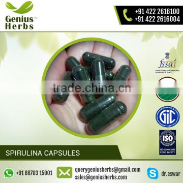 Superior Quality Spirulina Capsules / Spirulina Tablet for Bulk Supply