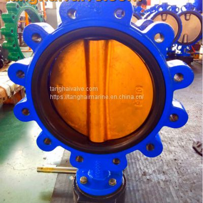 Lug type butterfly valve