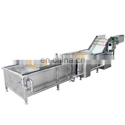 Spraying Air Bubble Vegetable and Fruit Peanut Apple Mango Leek Garlic Water Washer Palm Dates Melon Washing Cleaning Machine