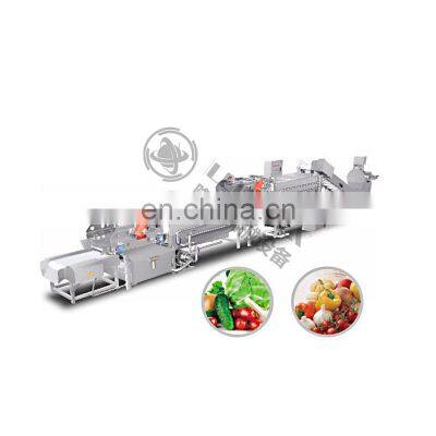 Double Vortex Current Vegetable and Fruit Bubble Washing Vibration Pump Production Line