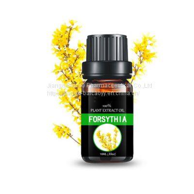 Forsythia Oil Aromatherapy Essential Oil Pure Natural Fragrance Oil