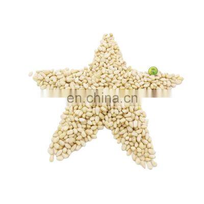 Byloo Group Low Moq 250 500 Gram Bag Packing Premium Quality Pine Nuts for Online Shop Trade Amazon photo-4