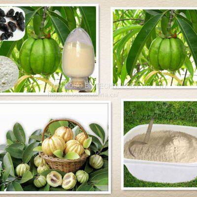 Garcinia Cambogia Extract photo-5