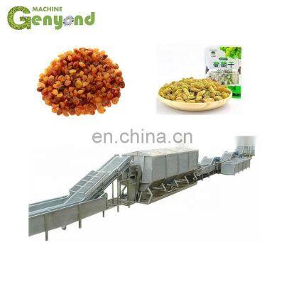Raisin Processing equipment/fruit processing equipment