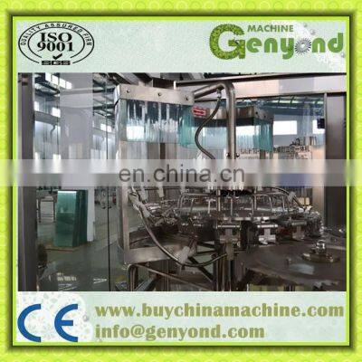 Top Quality Apple Juice Process Plant / Apple Juice Extracting Press photo-4