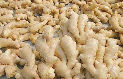 Fresh Ginger