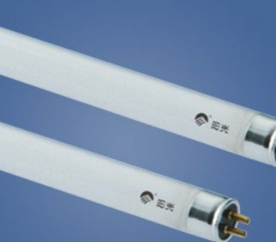 Straight Tube Fluorescent Lamp Test Report GB7000