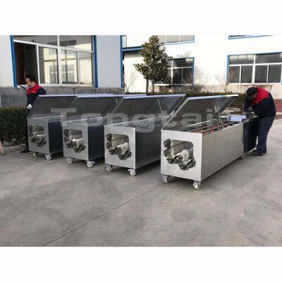 China Made Automatic Radish Washing Machine photo-2