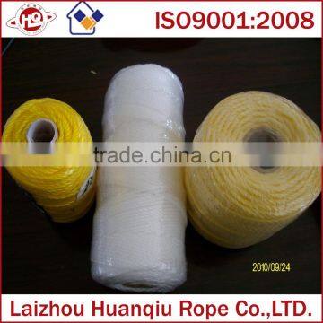 China Supplier PE Twine/rope
