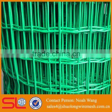 (Factory diret) high quality used for fence green pvc coated holland wire mesh