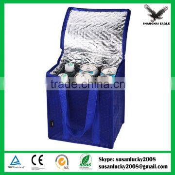 Custom Non woven thermal bags